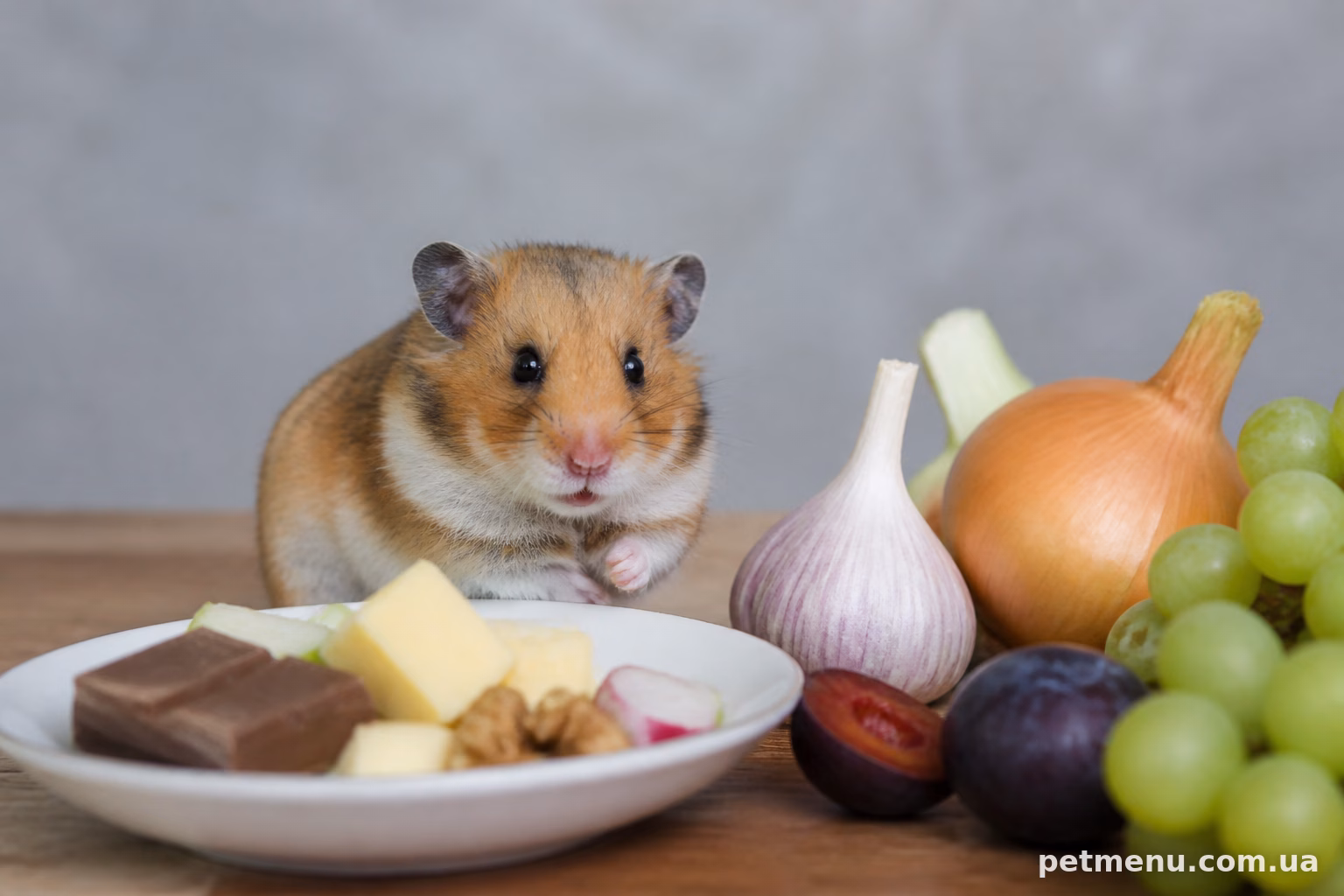 Які продукти категорично не можна давати хом’яку
