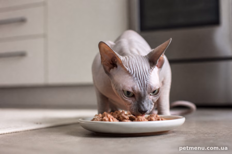 Режим годування